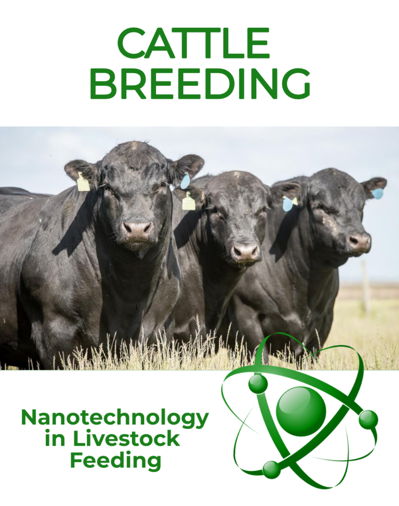 cattle breeding